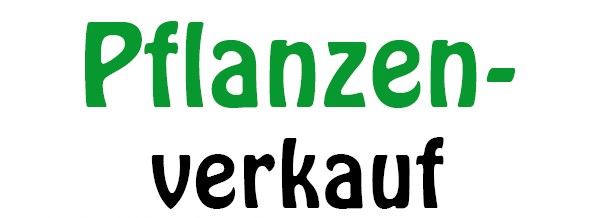 Pflanzenverkauf 2023