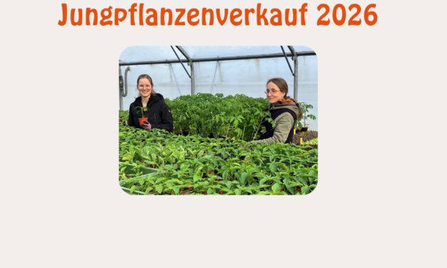 Jungpflanzenverkauf 2026