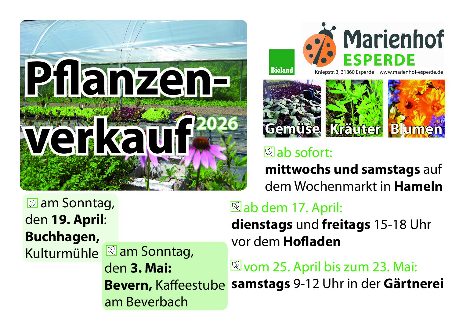 Jungpflanzenverkauf 2026