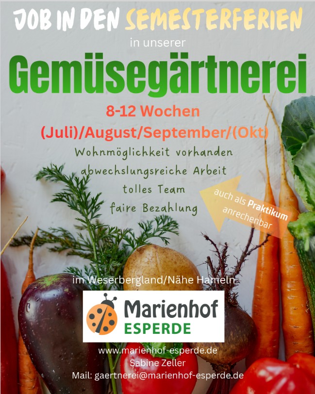 Gemüse und Vorstellung des Jobs