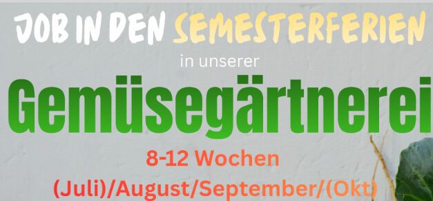 Job in den Semesterferien