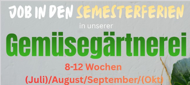 Job in den Semesterferien